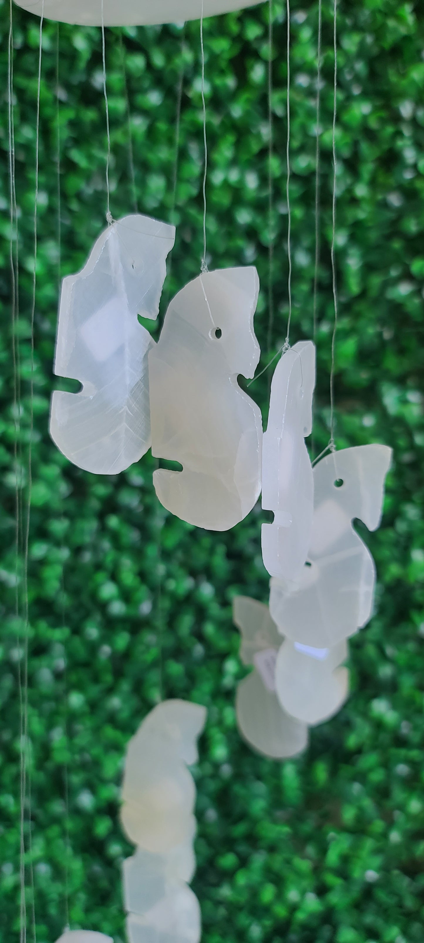 Onyx Windchimes