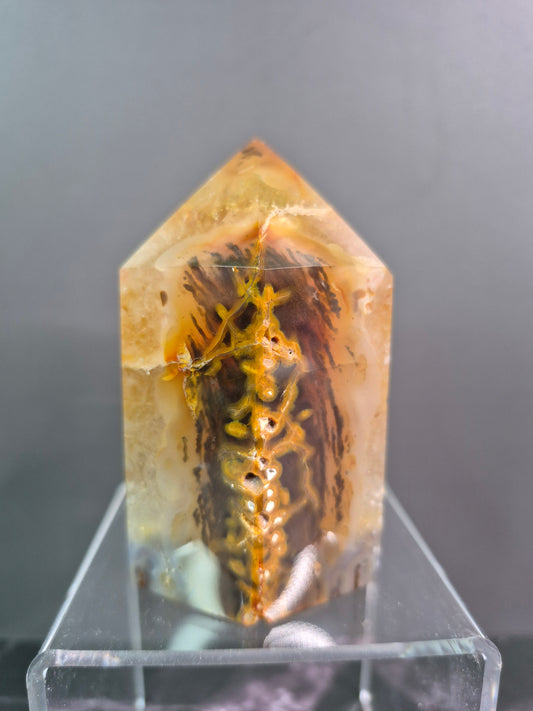 Golden Agate Tower with Druzy Portal