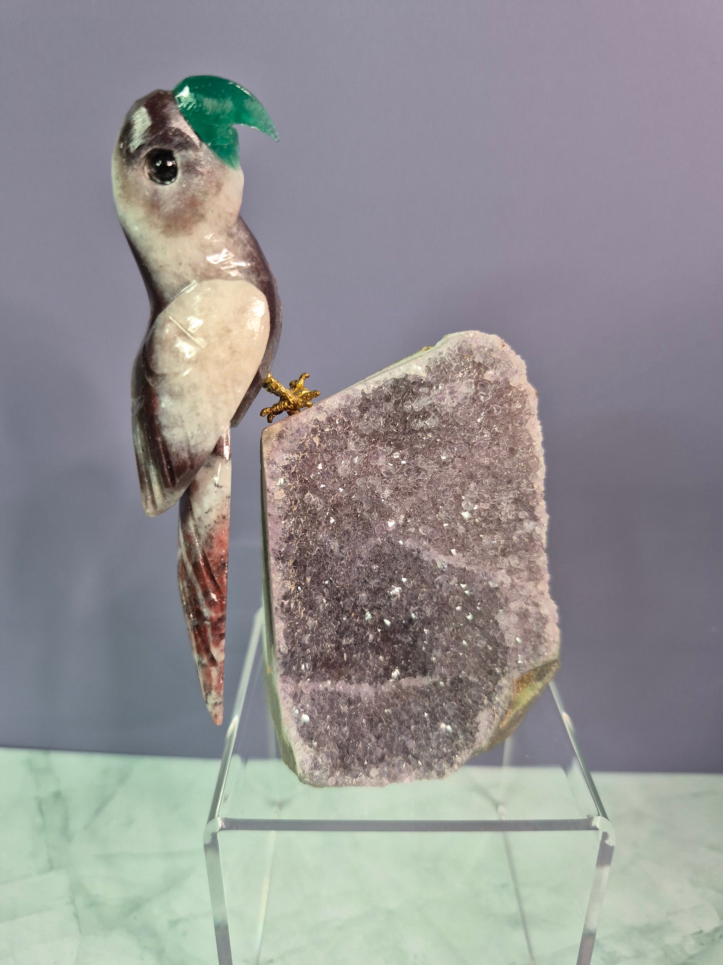 Stunning Parrots on Crystal Bases