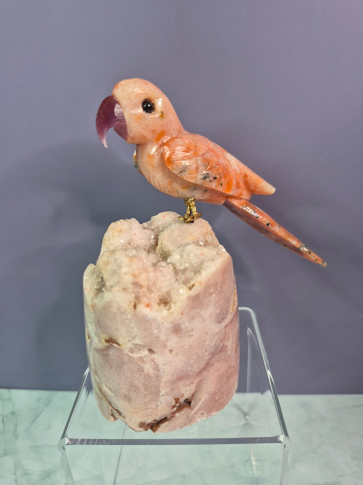 Stunning Parrots on Crystal Bases