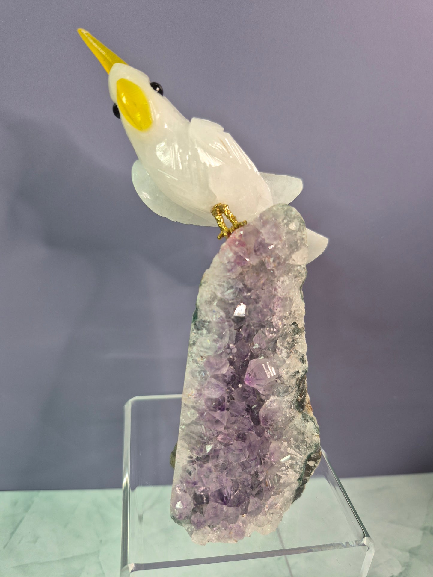 Stunning Parrots on Crystal Bases