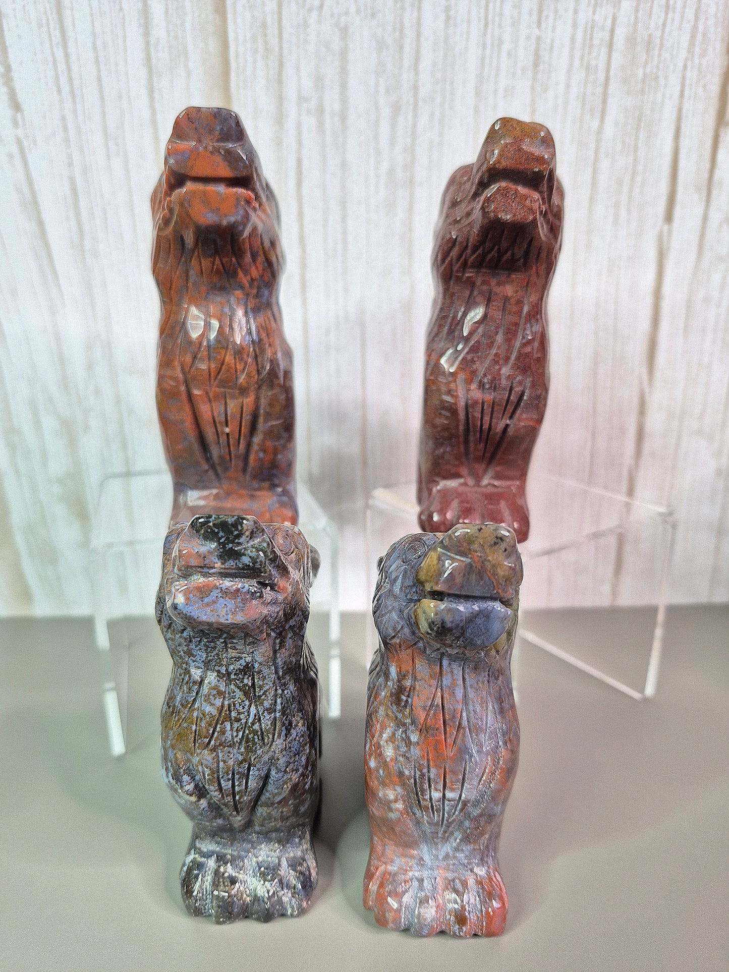 Ocean Jasper Wolves