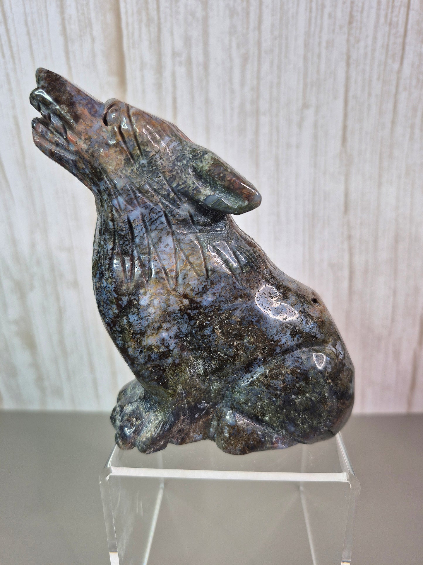 Ocean Jasper Wolves