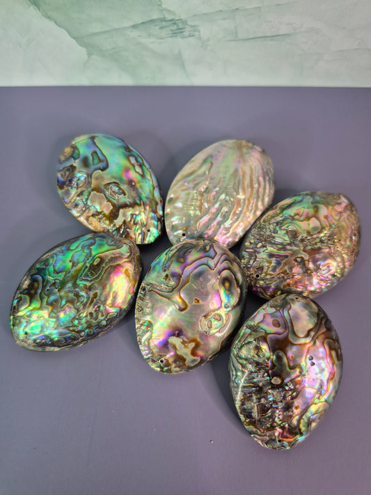 Abalone Shell Pendants