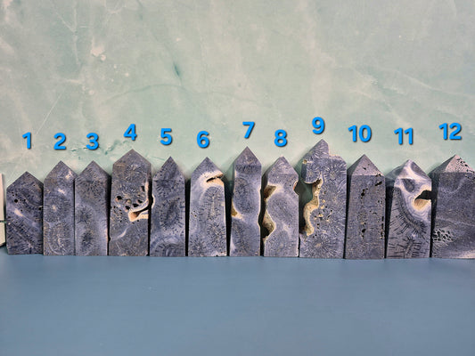 Blue Ridge Coral Heliopora Coerule Towers