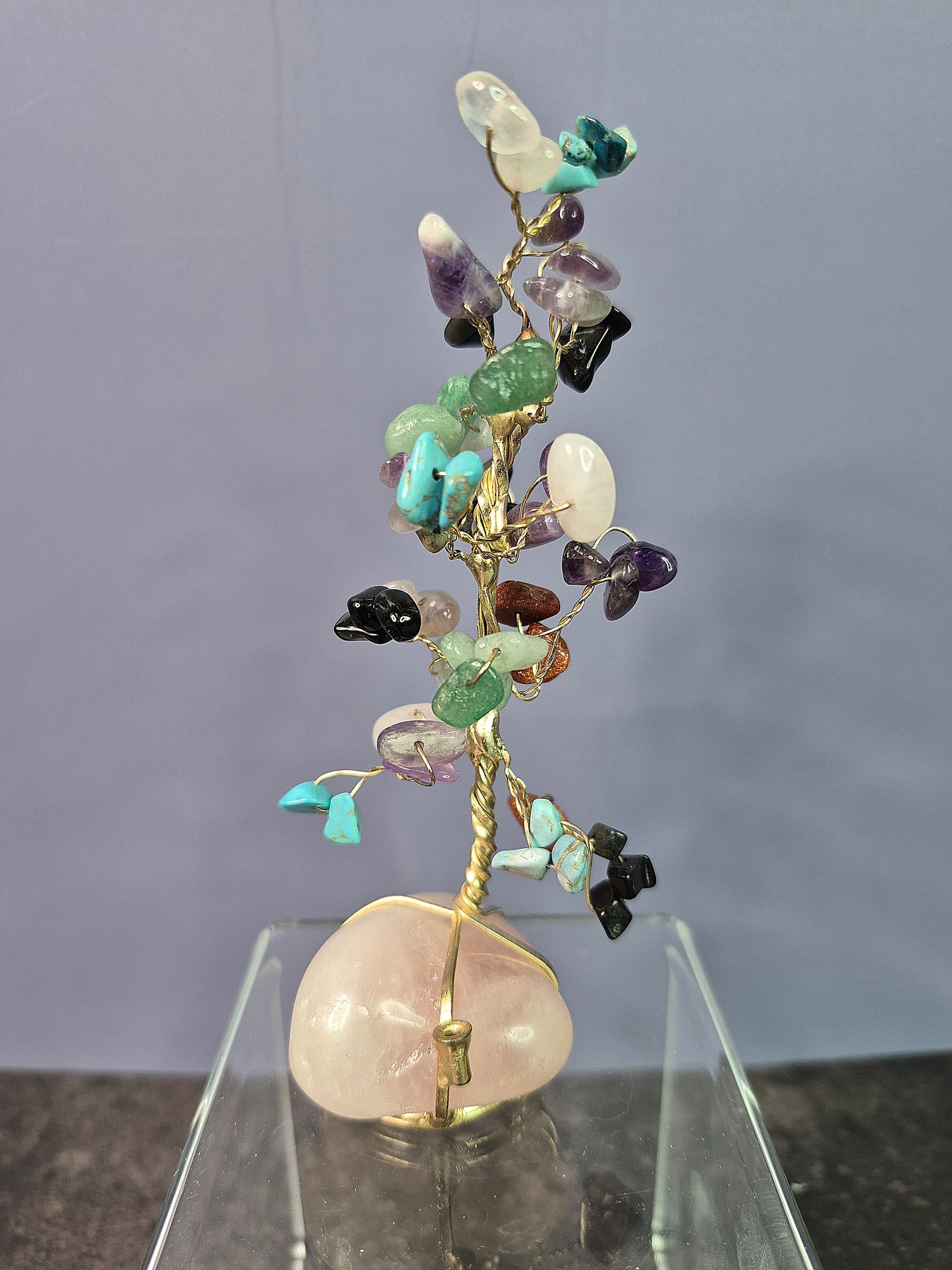 Money Tree on Rose Quartz Base