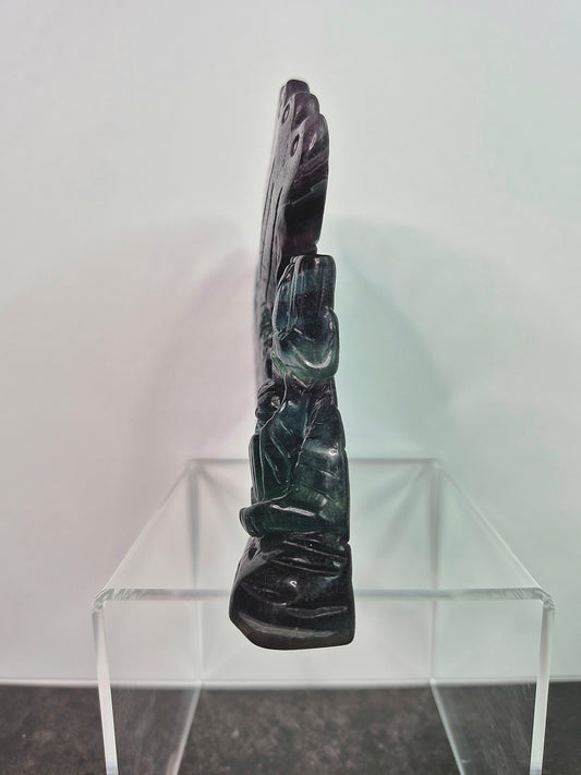 Fluorite Butterfly on Flower