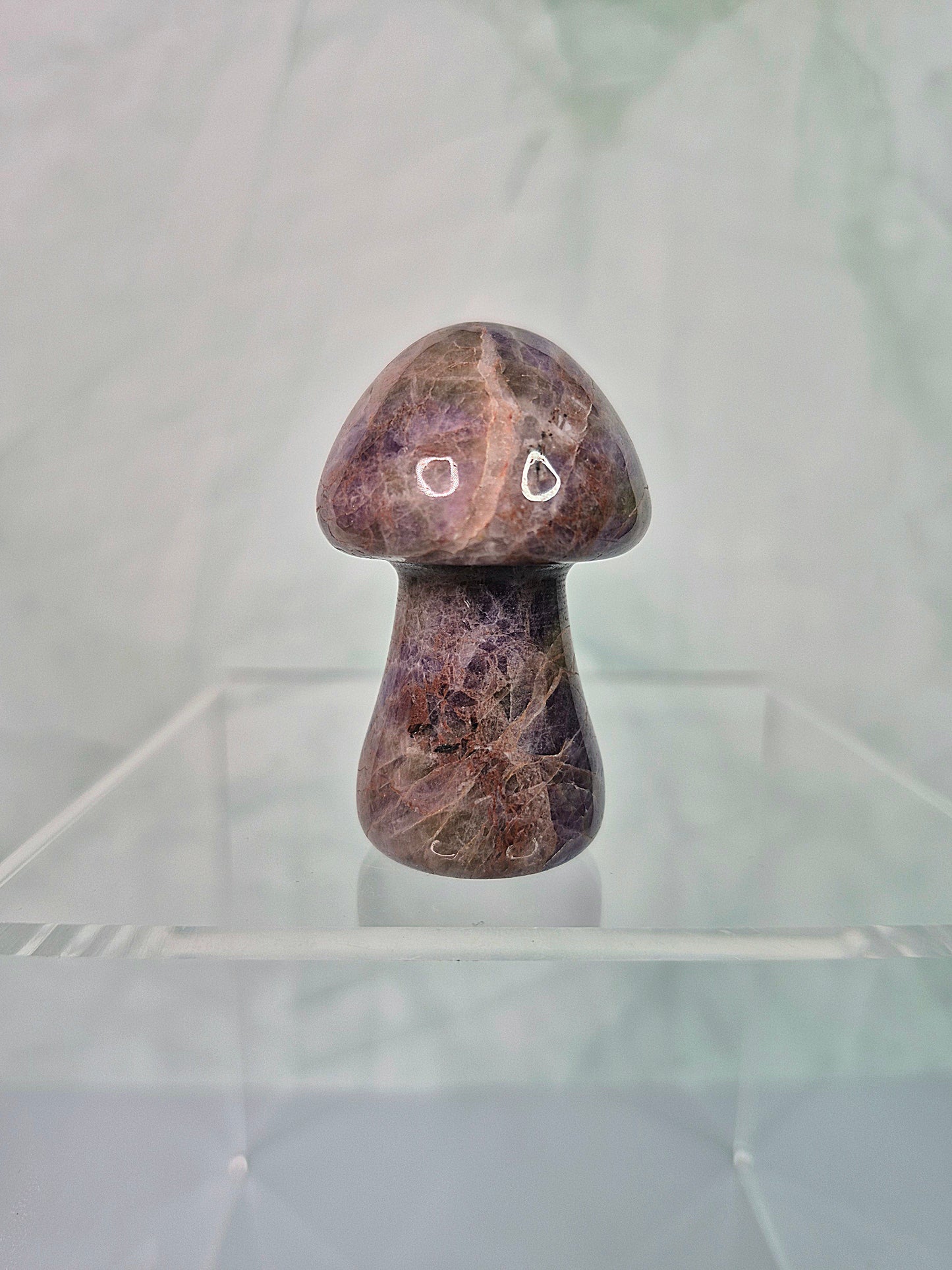 Mixed Crystal Mushroom Carvings