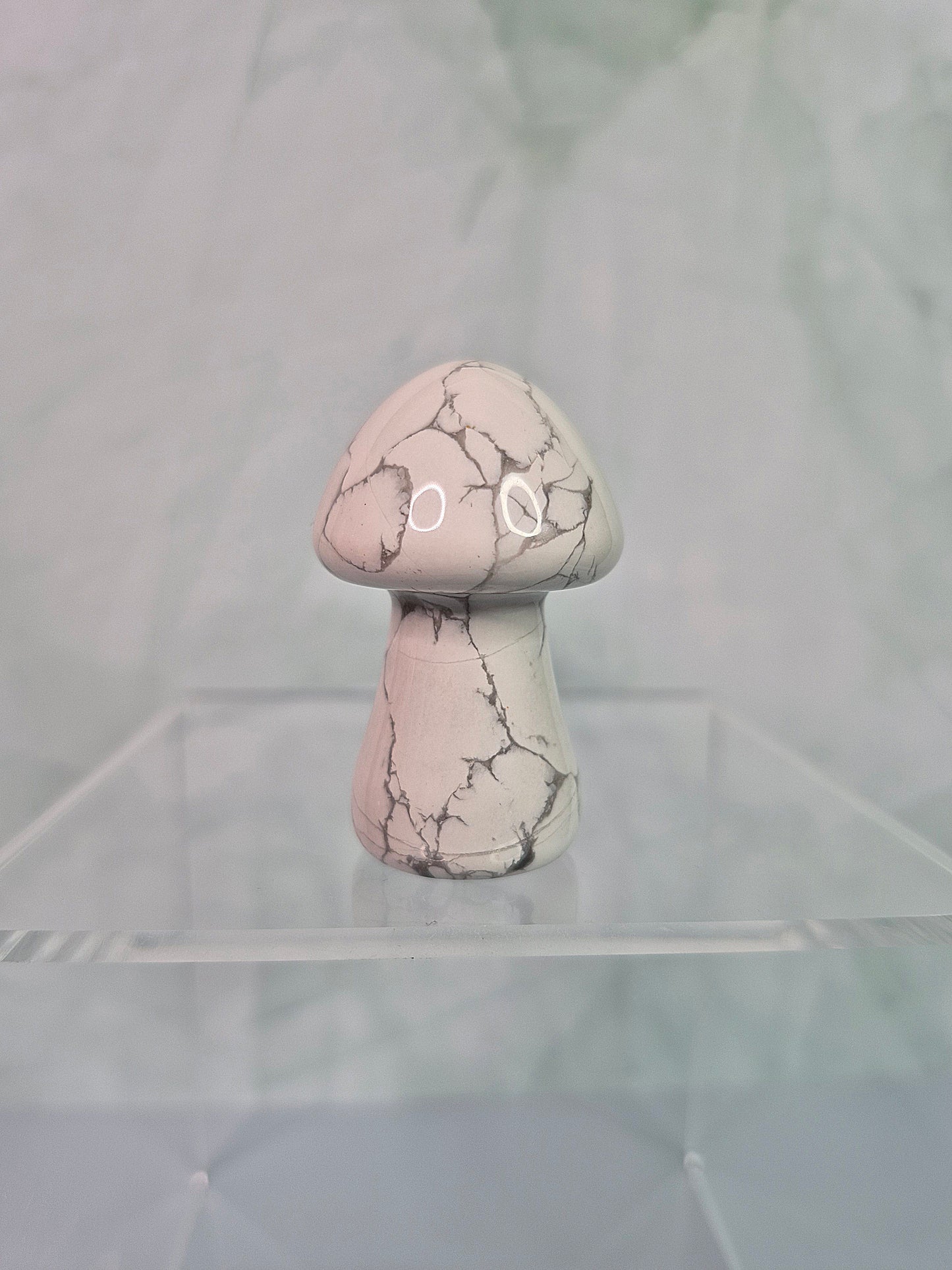 Mixed Crystal Mushroom Carvings