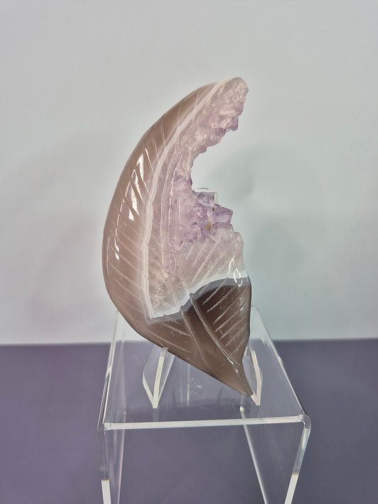 Druzy Agate with Amethyst Leaf