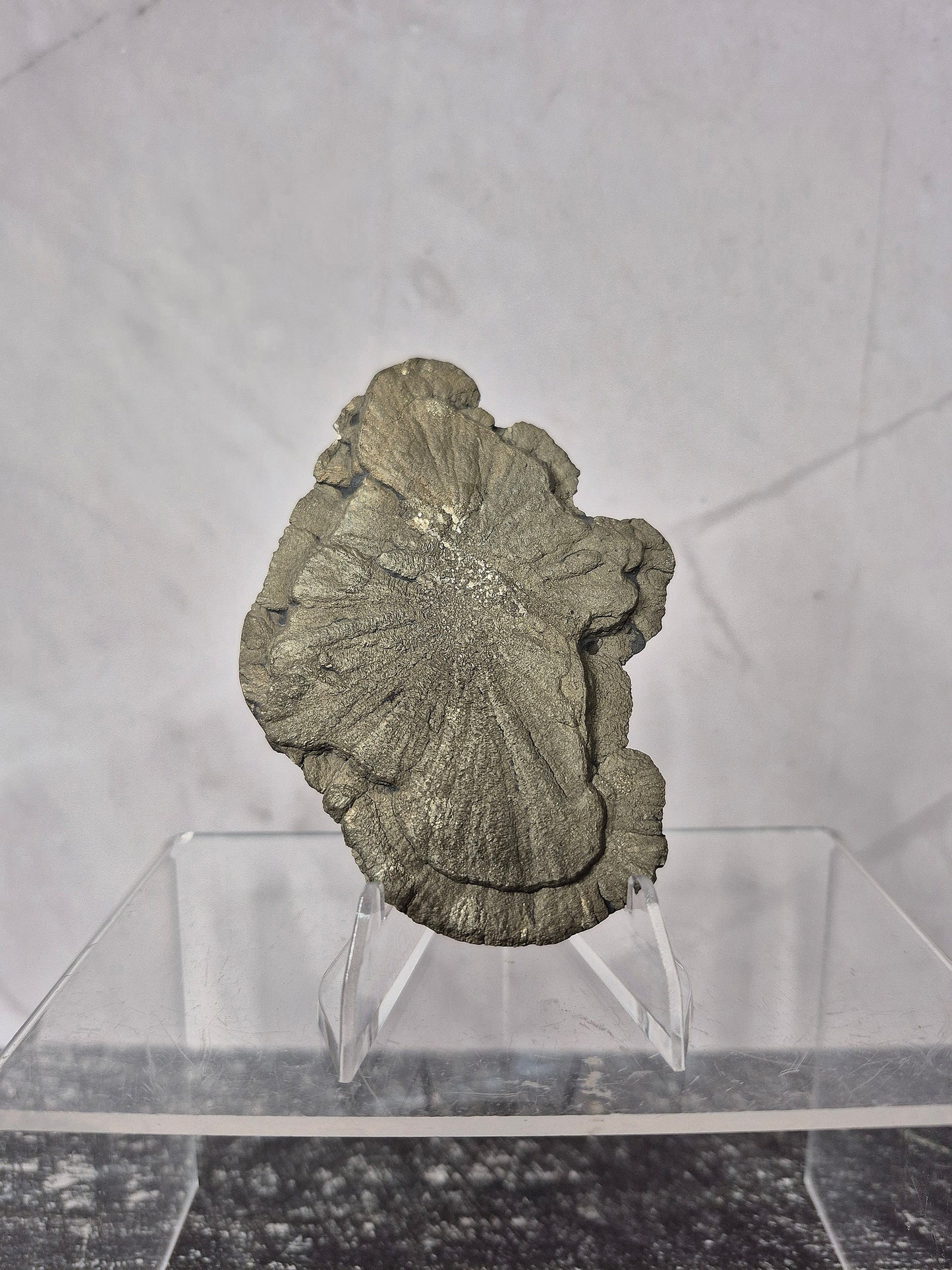Pyrite Sun