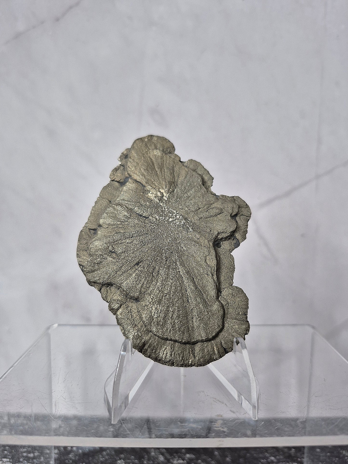 Pyrite Sun