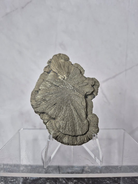 Pyrite Sun