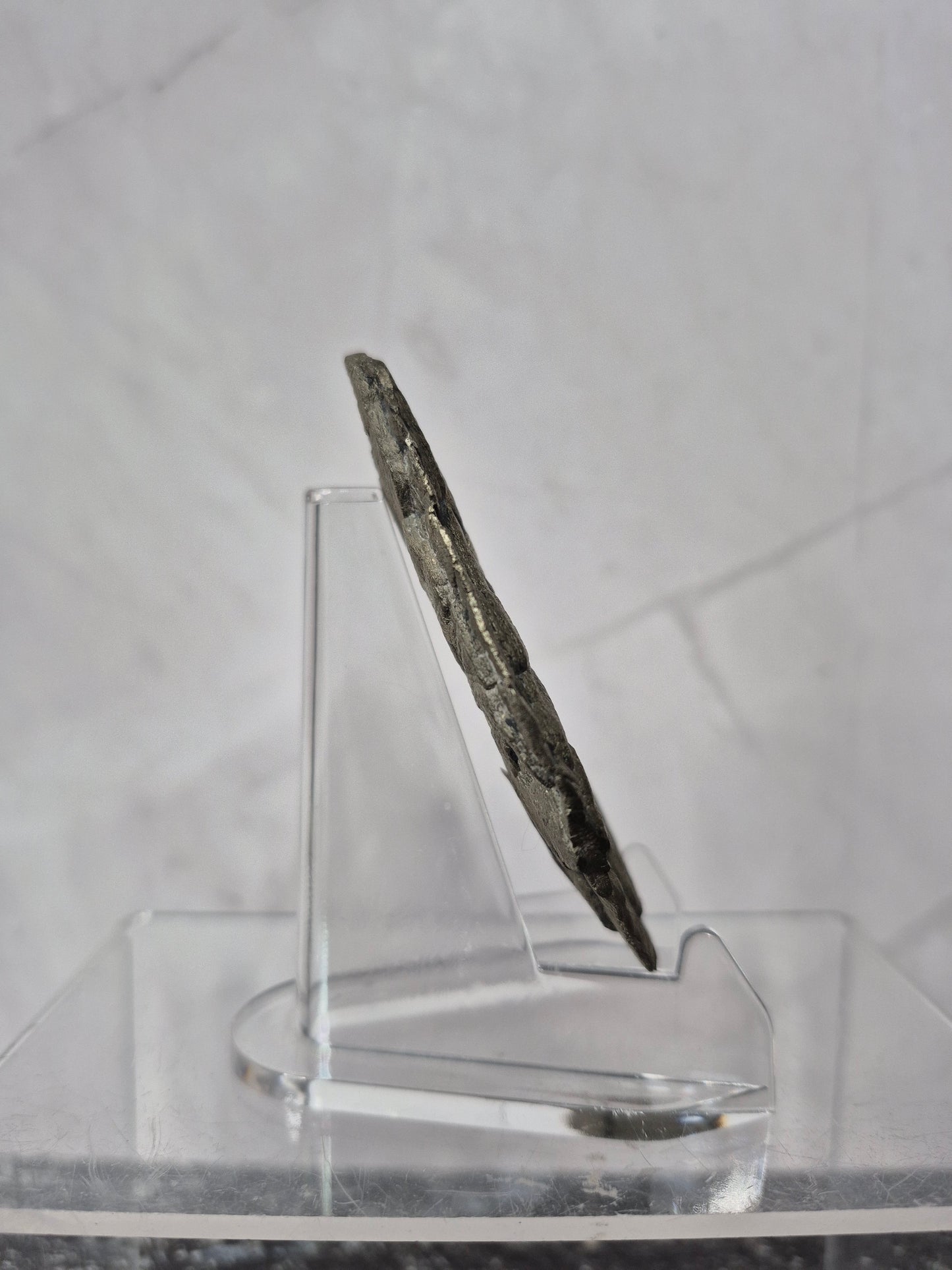 Pyrite Sun