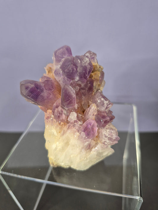 Guerrero Amethyst Cluster