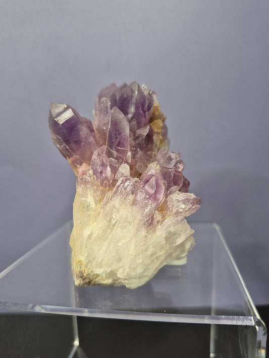 Guerrero Amethyst Cluster