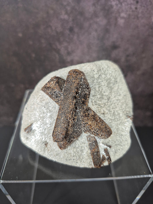 Beautiful Staurolite on Dazzling Matrix