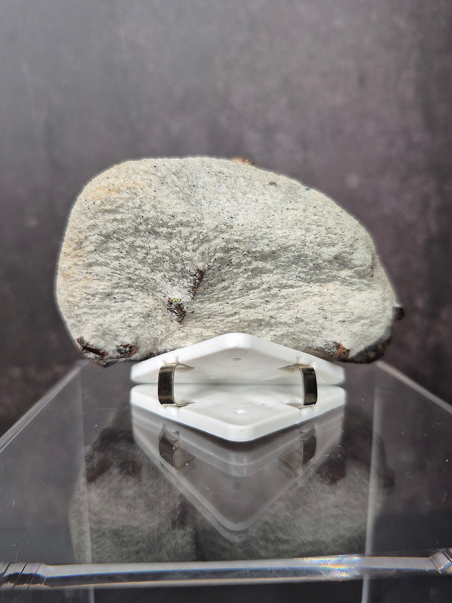 Beautiful Staurolite on Dazzling Matrix