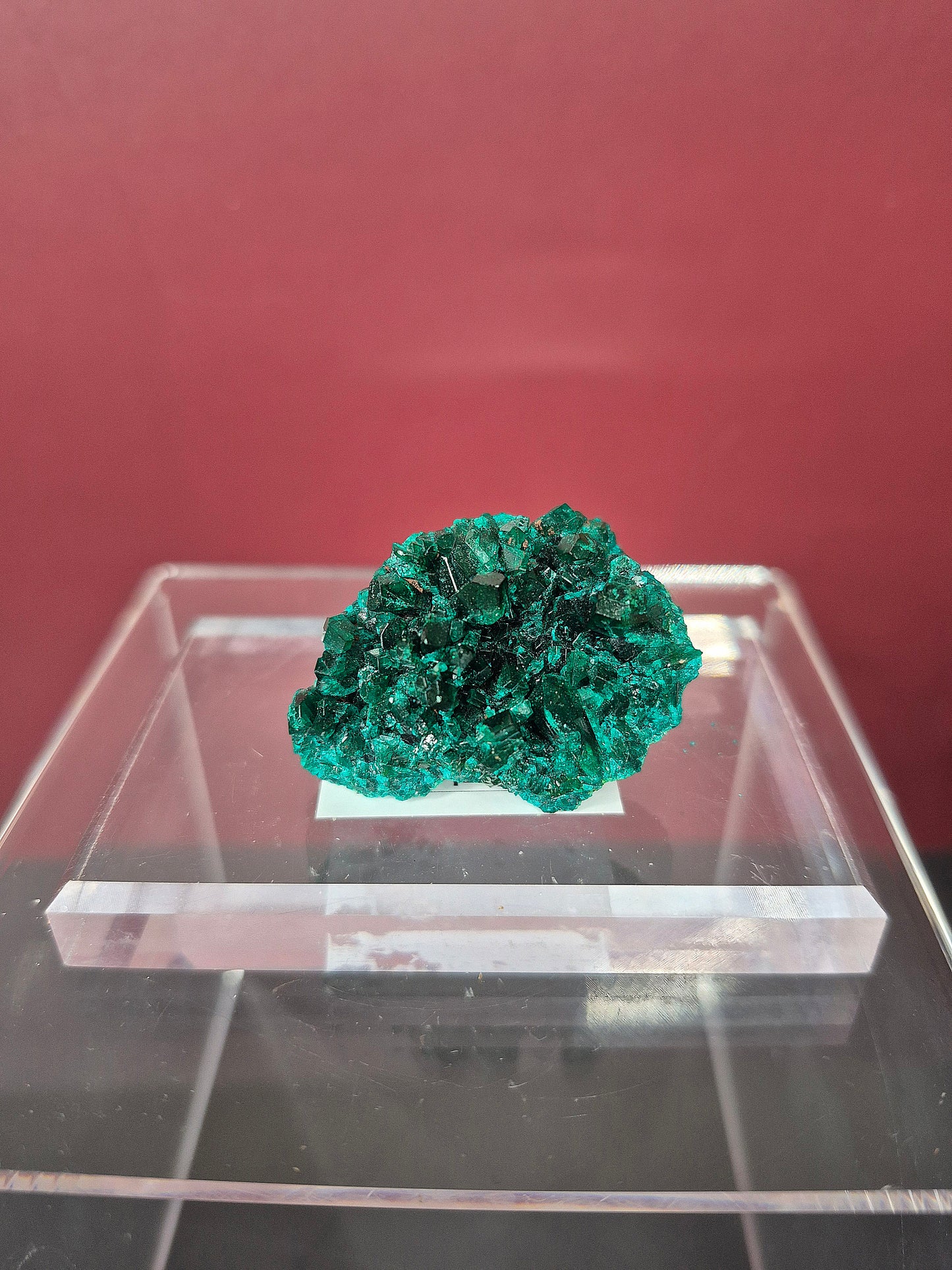 Stunning Green Dioptase