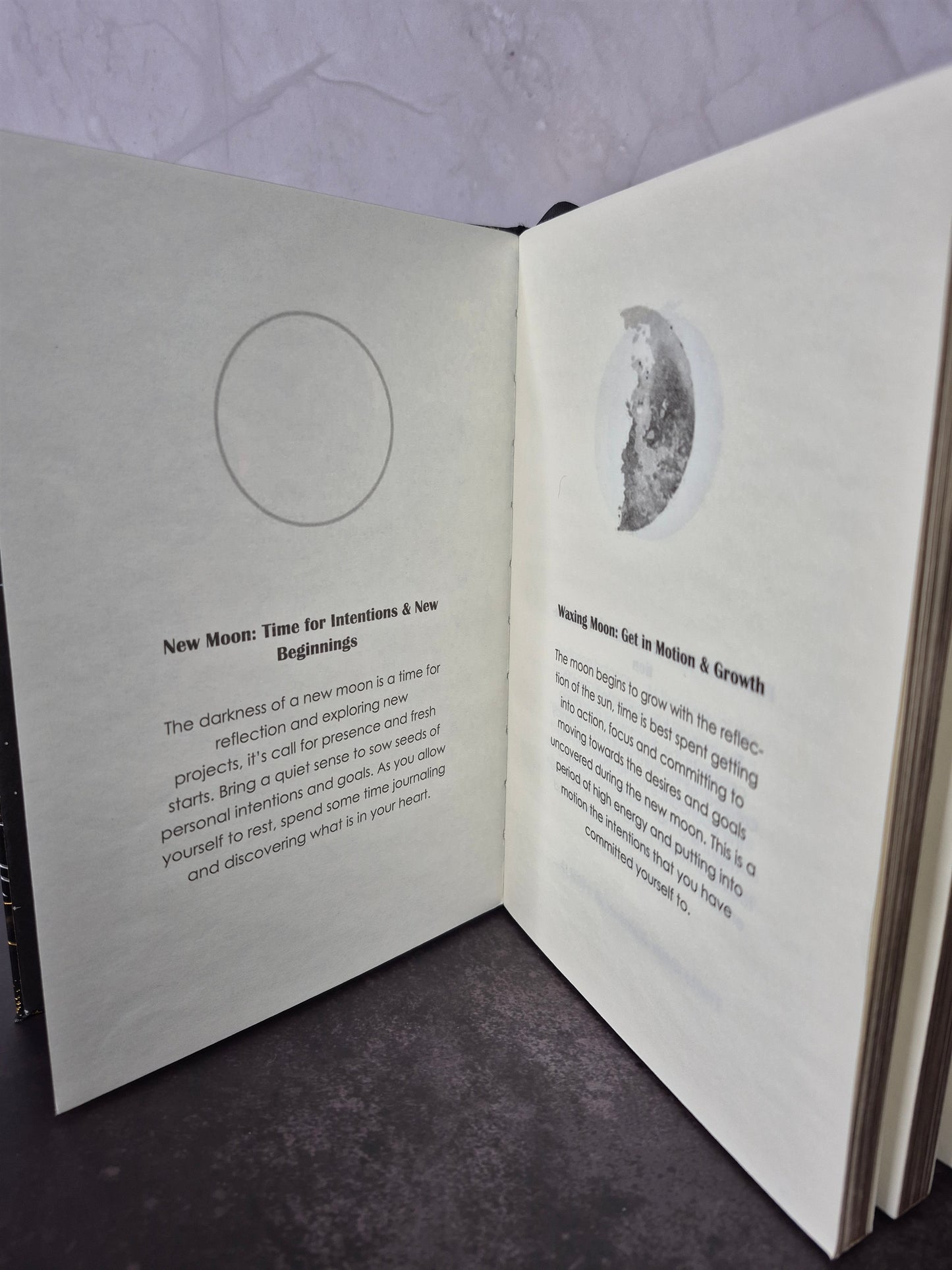 Moonphase Undated Weekly Planner