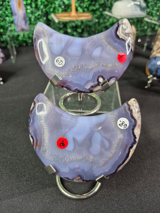 Blue Flower Agate Crescent Moons