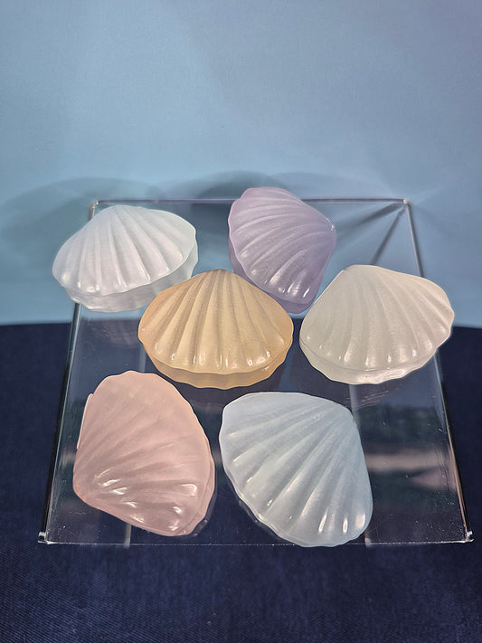 Colorful Selenite Clam Shells