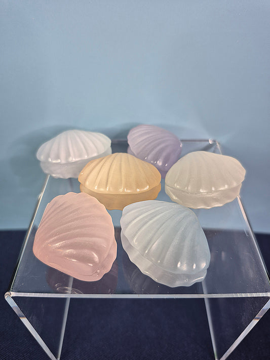 Colorful Selenite Clam Shells
