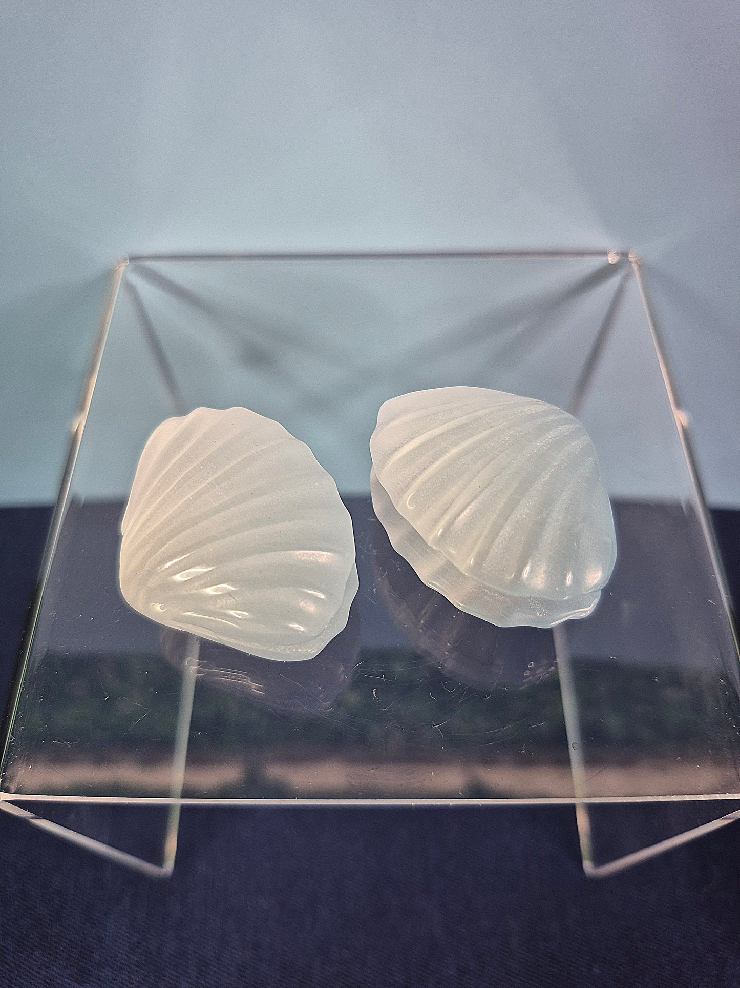 Colorful Selenite Clam Shells