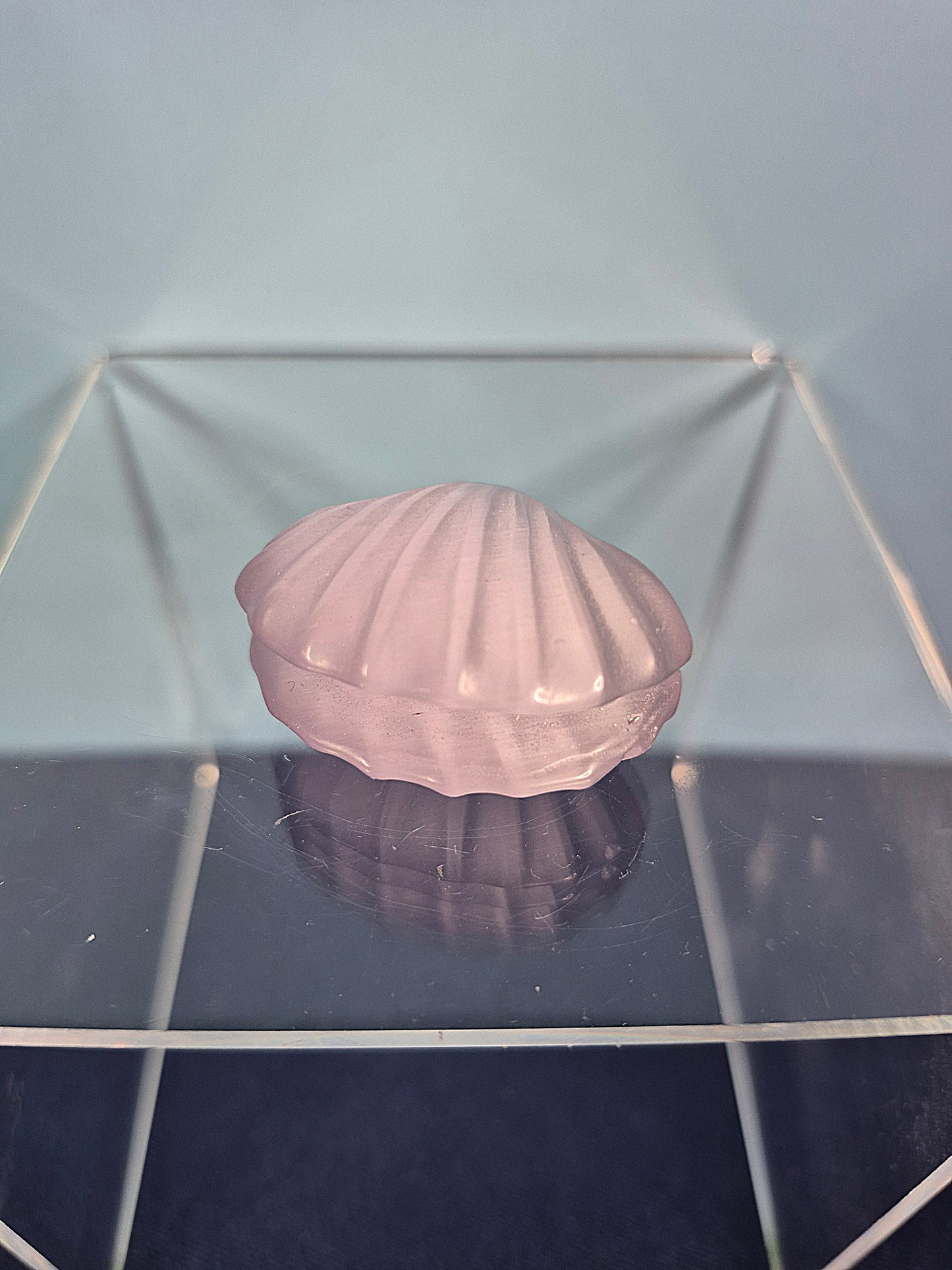 Colorful Selenite Clam Shells