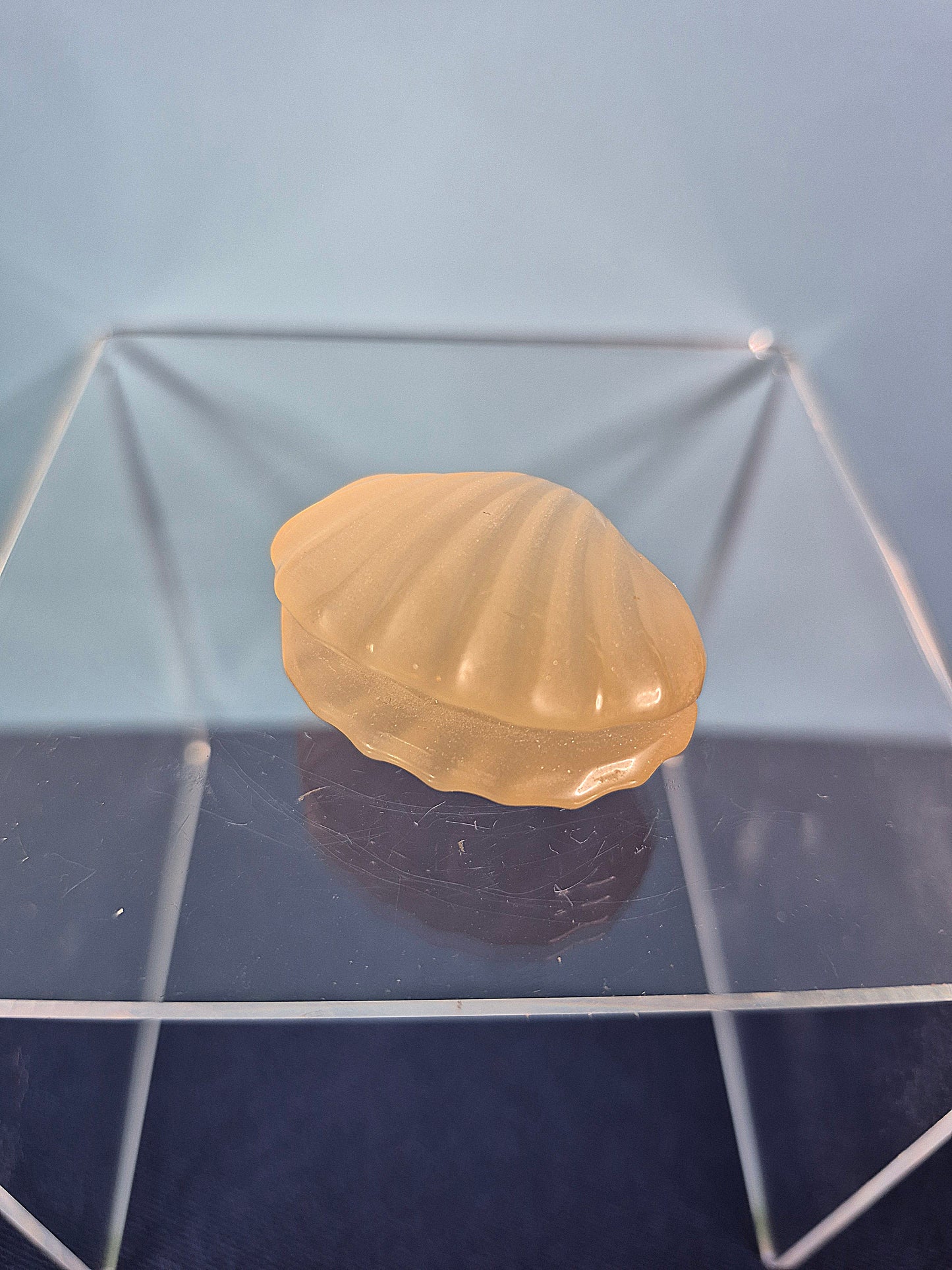 Colorful Selenite Clam Shells