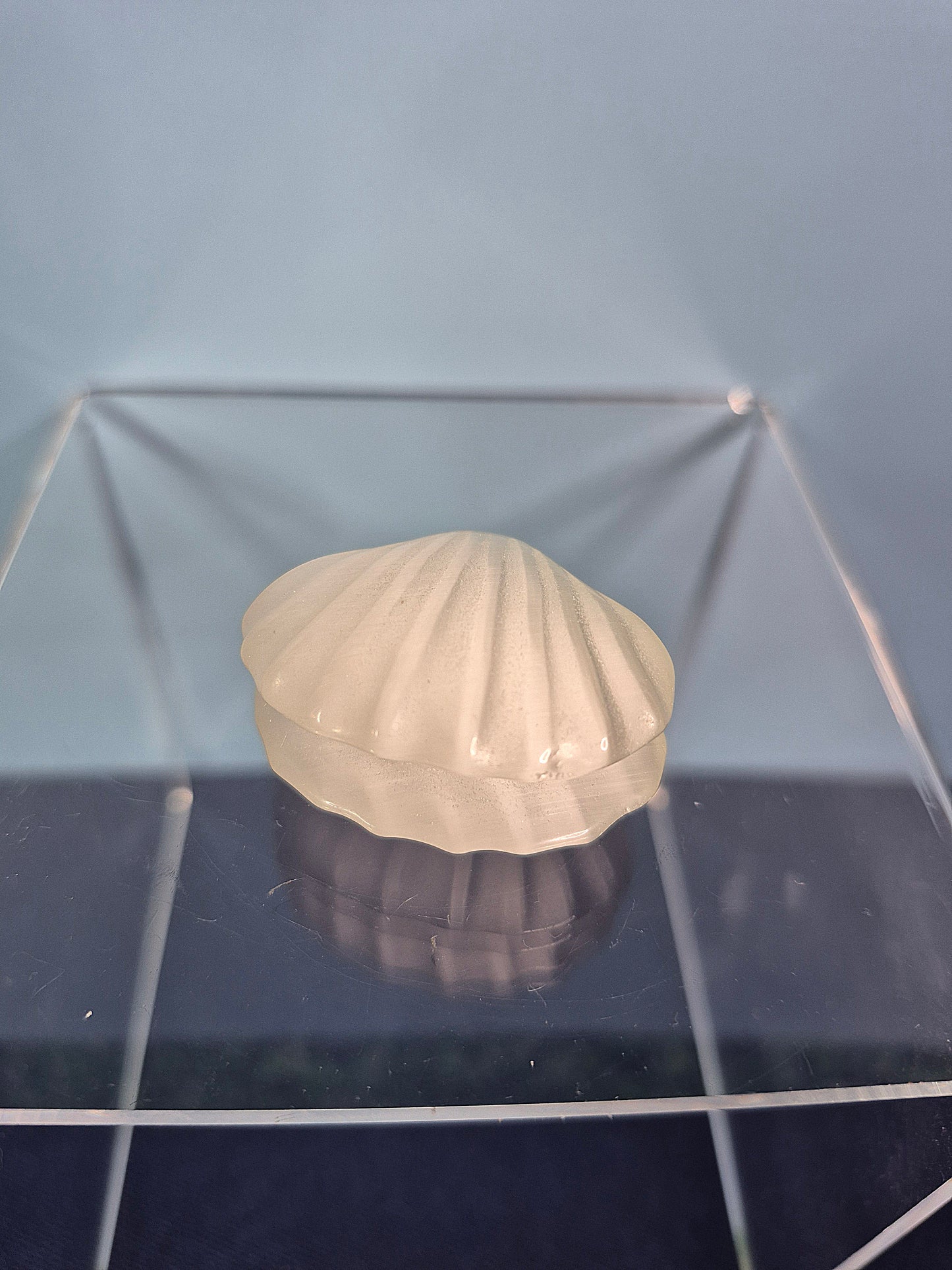 Colorful Selenite Clam Shells