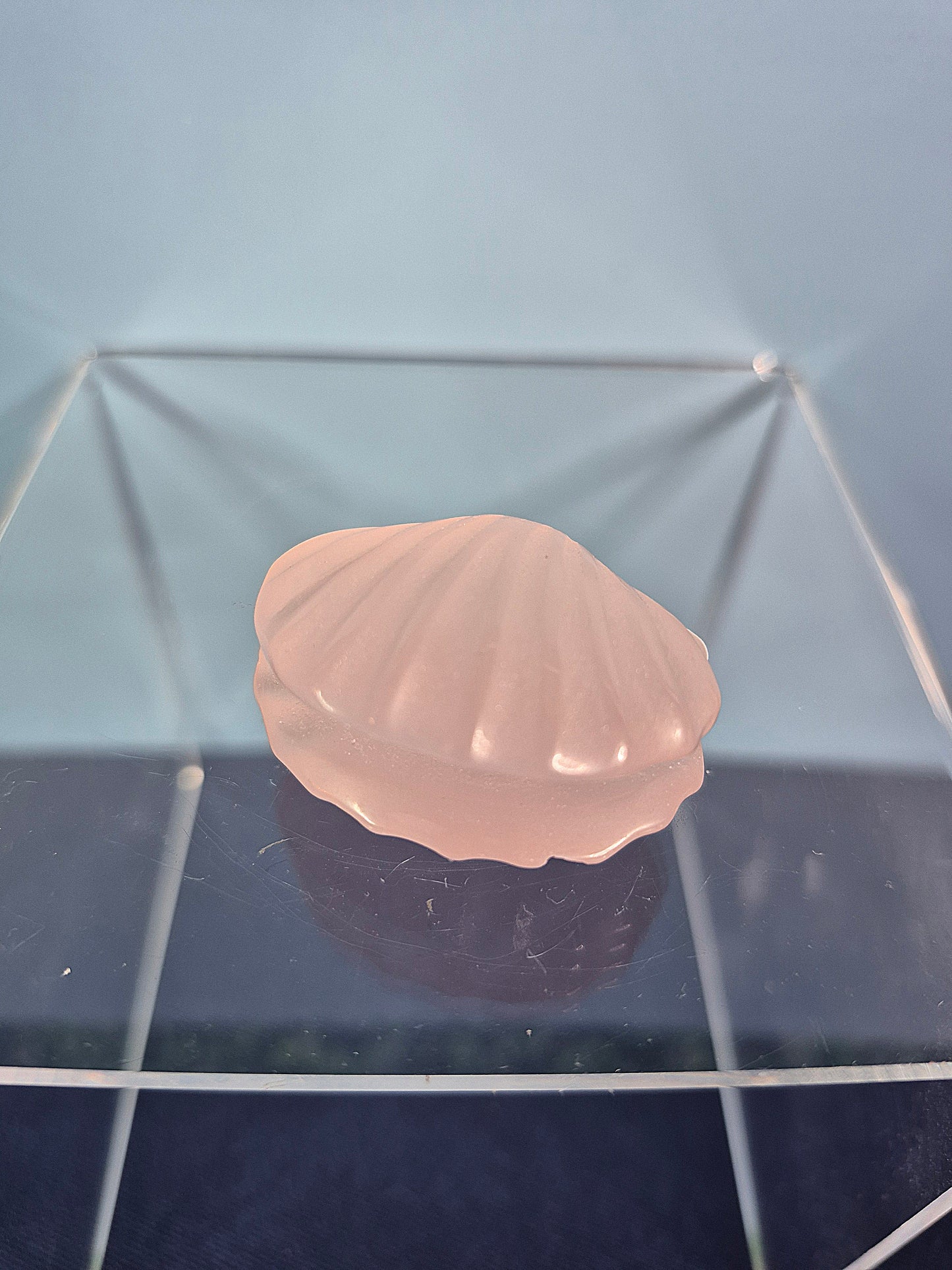 Colorful Selenite Clam Shells