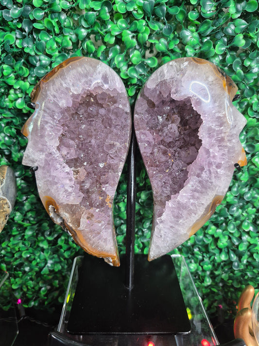 Druzy Agate and Amethyst Wings on Stand (XL)