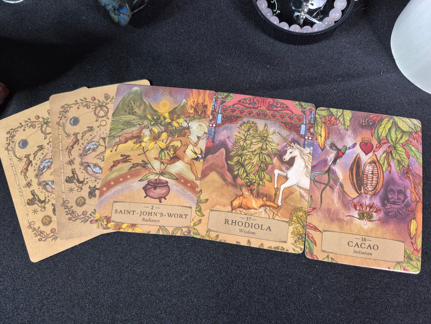 The Herbal Astrology Oracle Deck