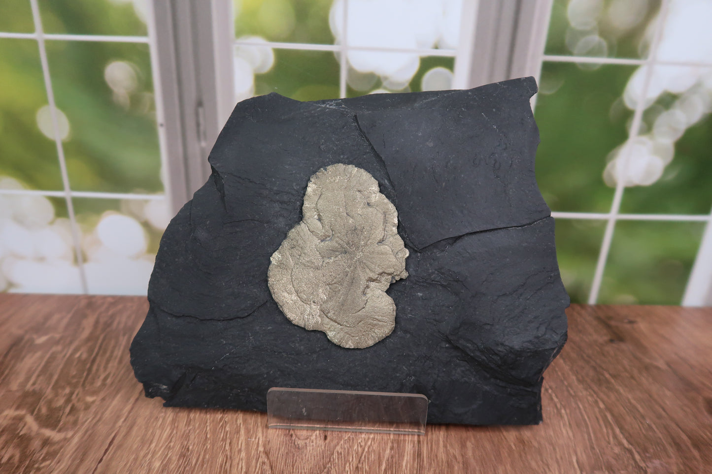 Pyrite Sun in Slate