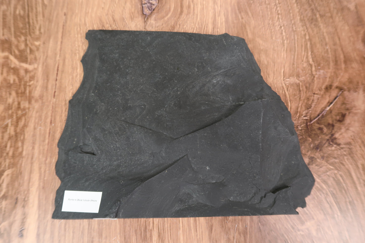 Pyrite Sun in Slate