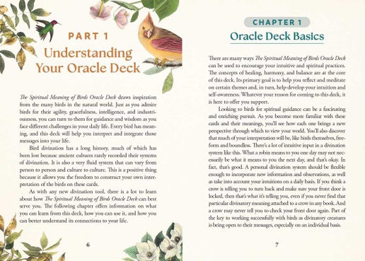 Simon & Schuster - Spiritual Meaning of Birds Oracle Deck by Arin Murphy-Hiscock: Flashcards; 50 pages, English