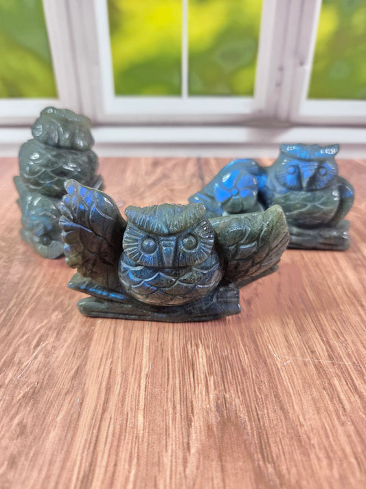 Stunning Labradorite Owl Carvings