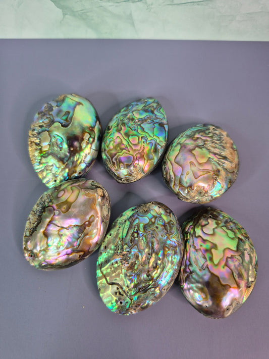 Abalone Shell Pendants