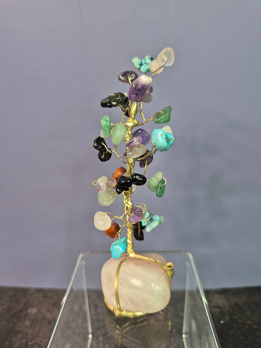 Money Tree on Rose Quartz Base