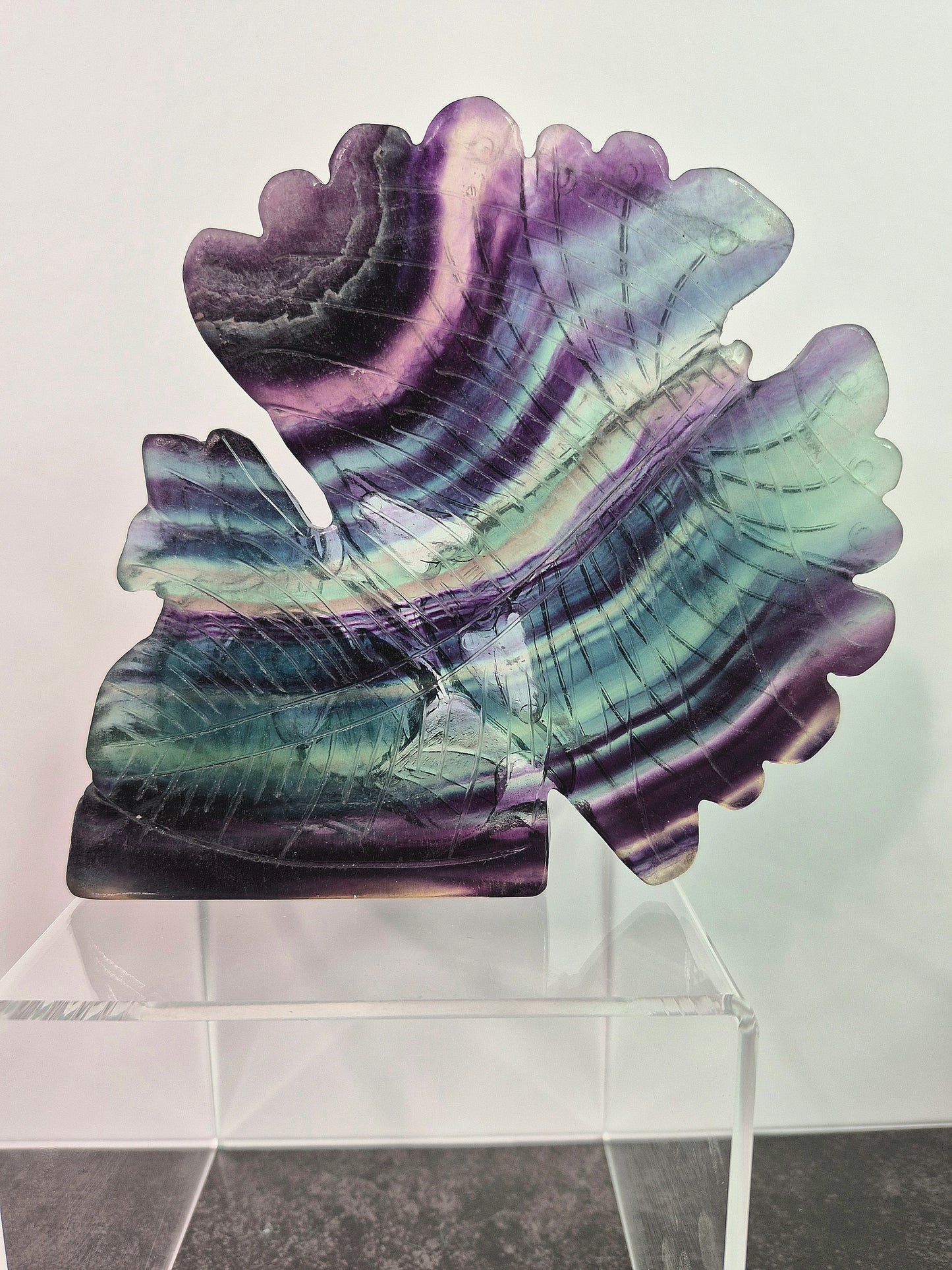 Fluorite Butterfly on Flower