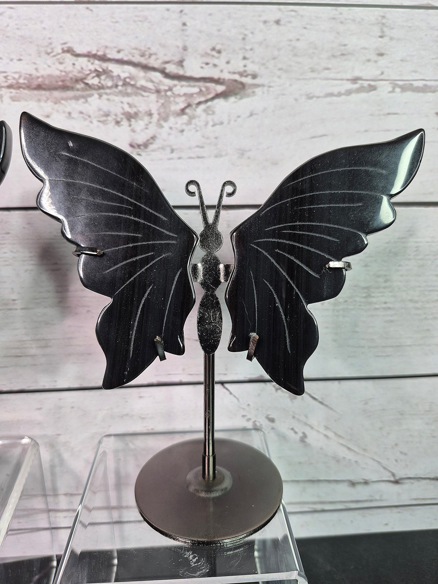 Silver Sheen Obsidian Butterfly Wings on Stands