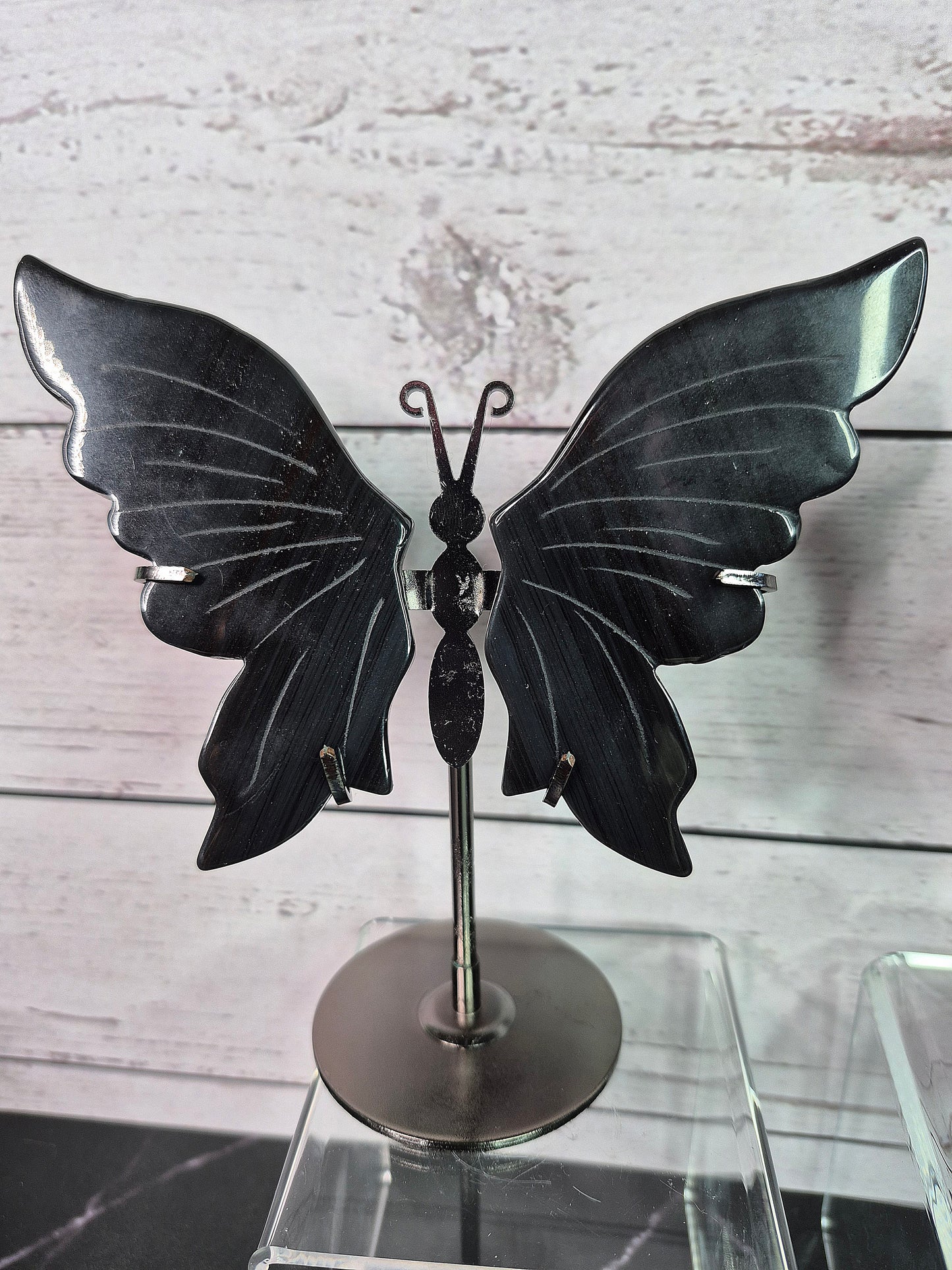 Silver Sheen Obsidian Butterfly Wings on Stands