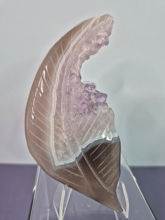Druzy Agate with Amethyst Leaf