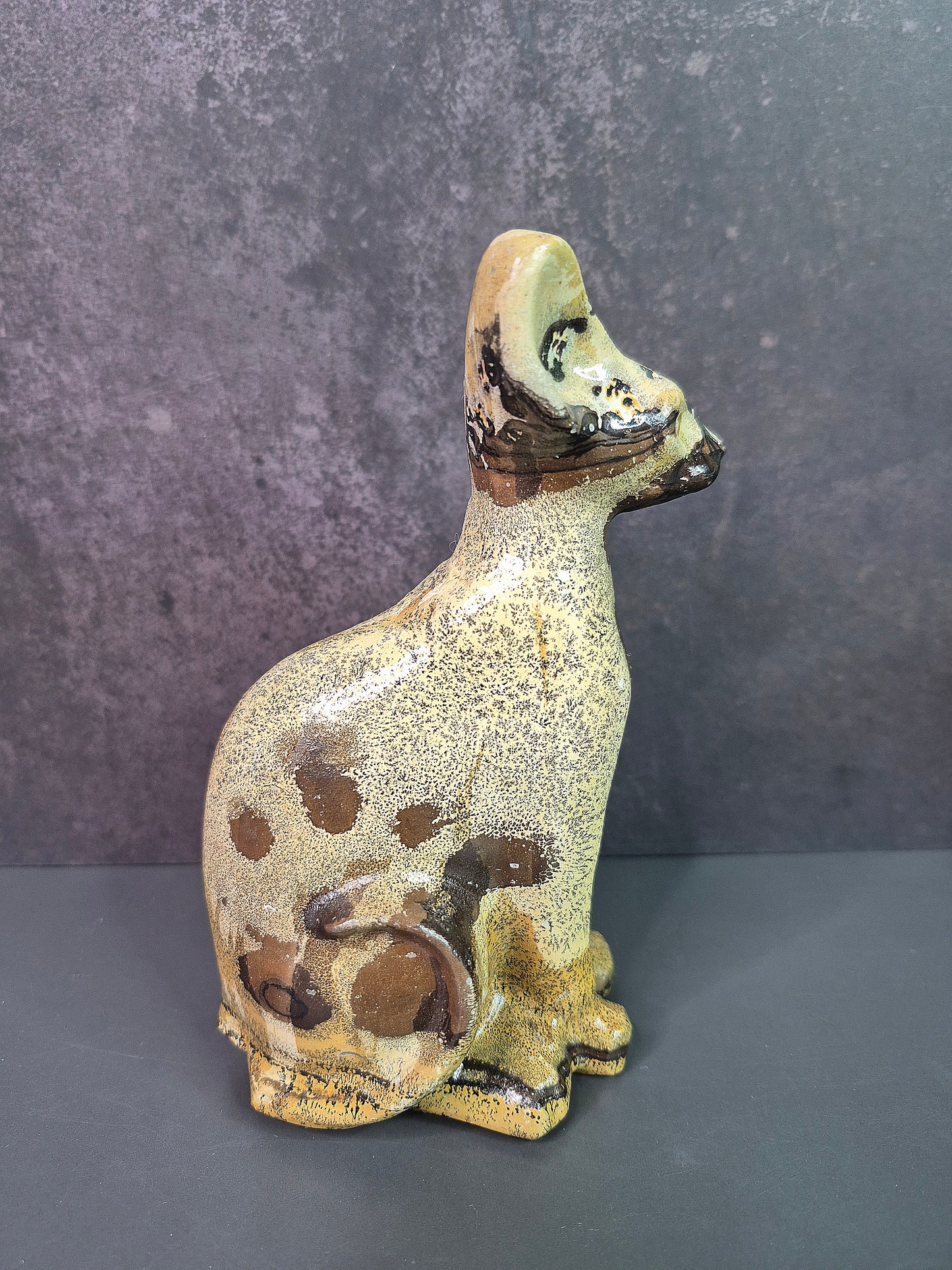 Dendritic Picture Jasper Sphynx Cat