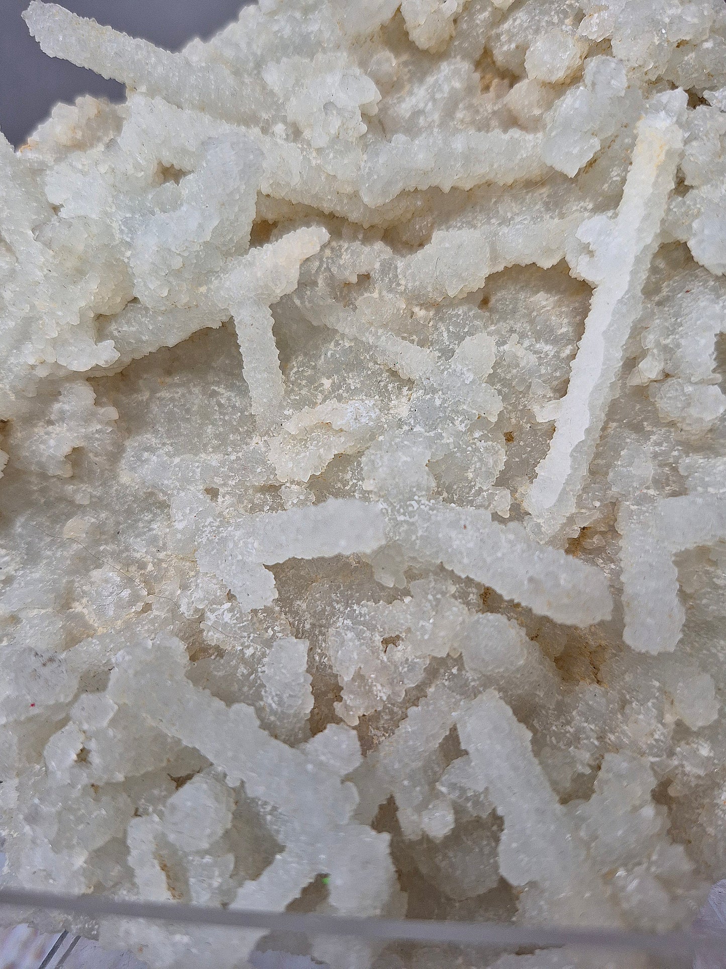 Prehnite Noodle Cluster