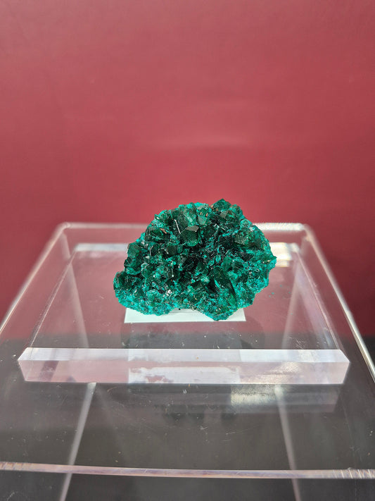 Stunning Green Dioptase