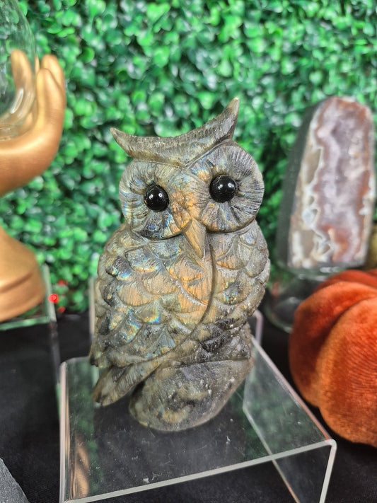 Stunning Labradorite Owl