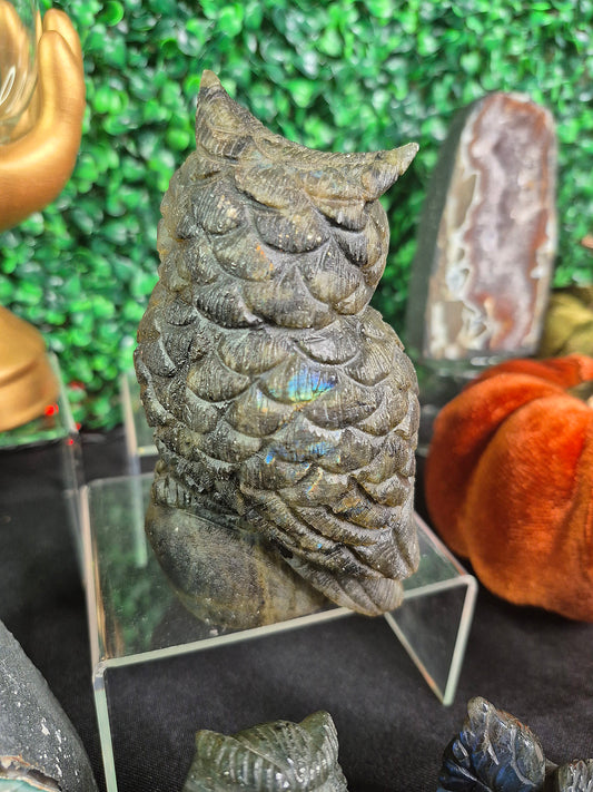 Stunning Labradorite Owl