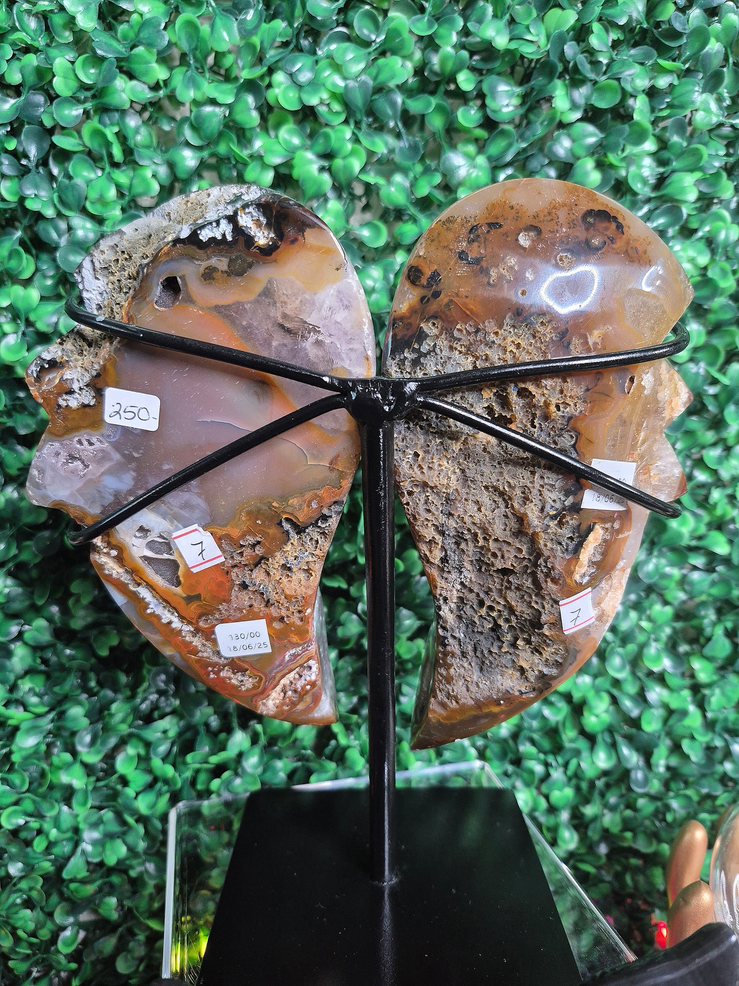 Druzy Agate and Amethyst Wings on Stand (XL)